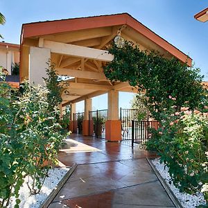 Best Western Antelope Inn & Suites